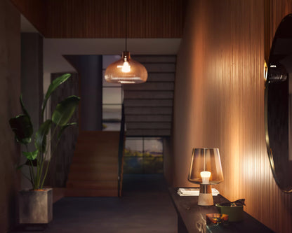 75W A19 2PACK- E26 smart bulbs