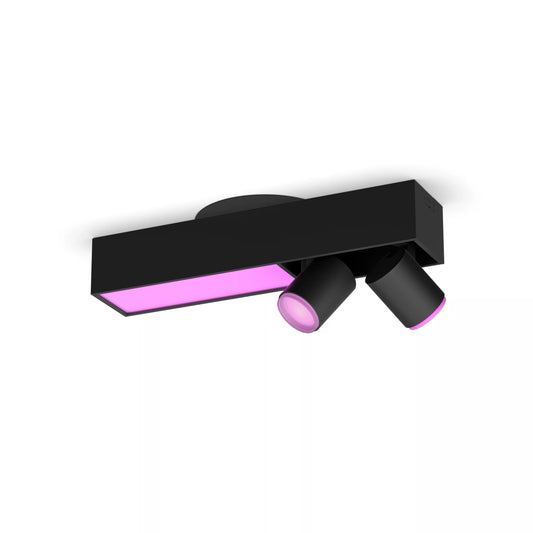 Centris 2-spot ceiling light