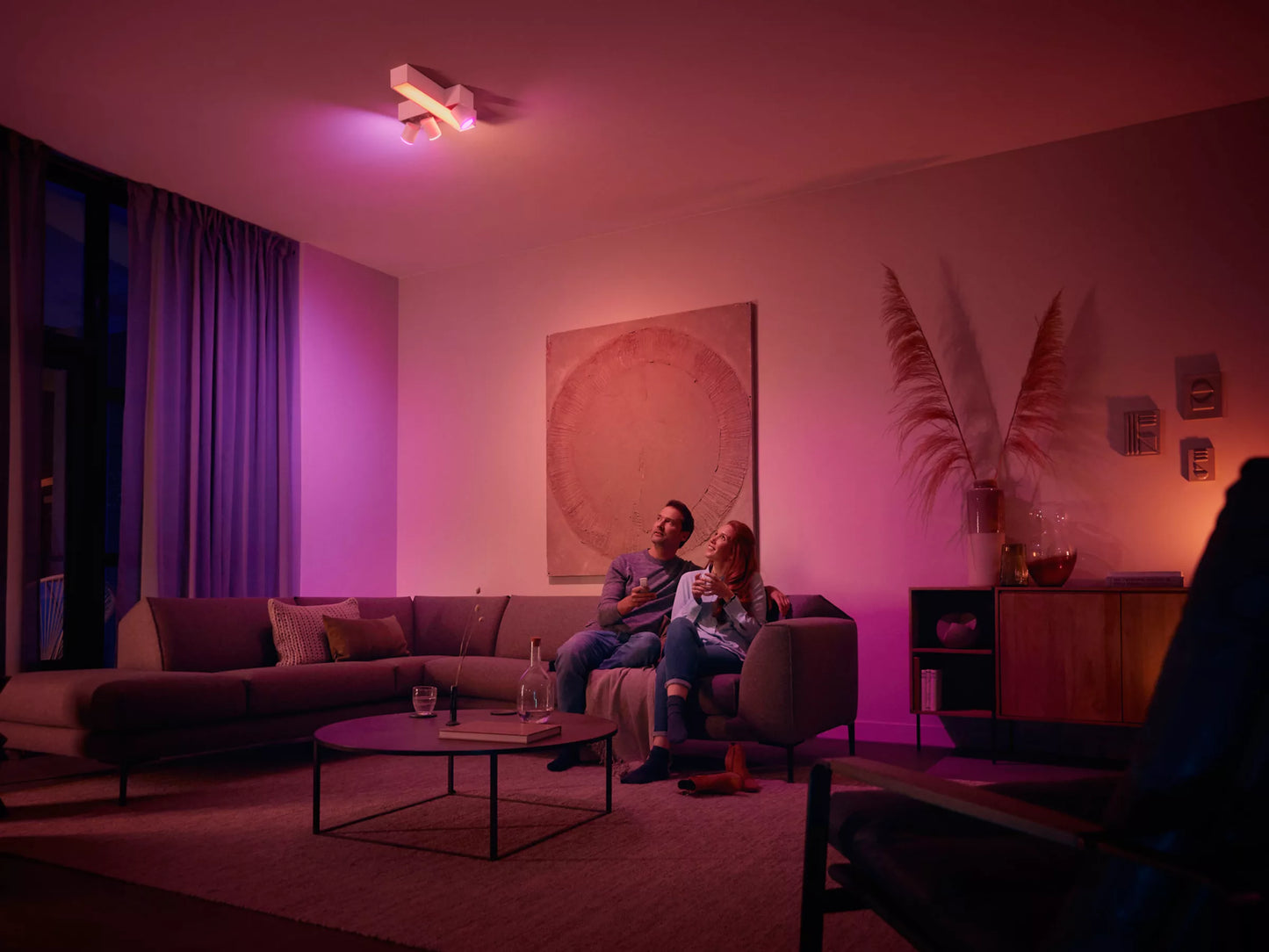 Dimmer Switch (latest model)