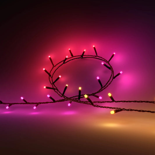 Festavia string lights 100 LEDs